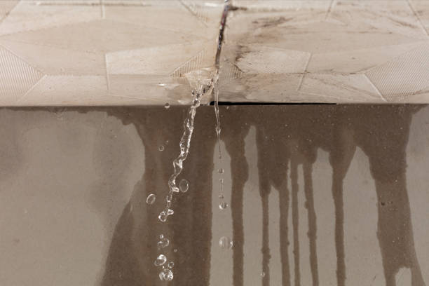 Professional Structural Drying technician working in Arp, TX